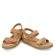 PANAMA JACK SELMA B10 VELOUR MARRÓN 50949