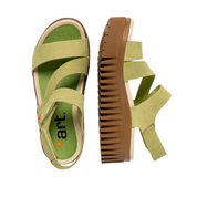 Art Brighton 1573 Liken  -53557