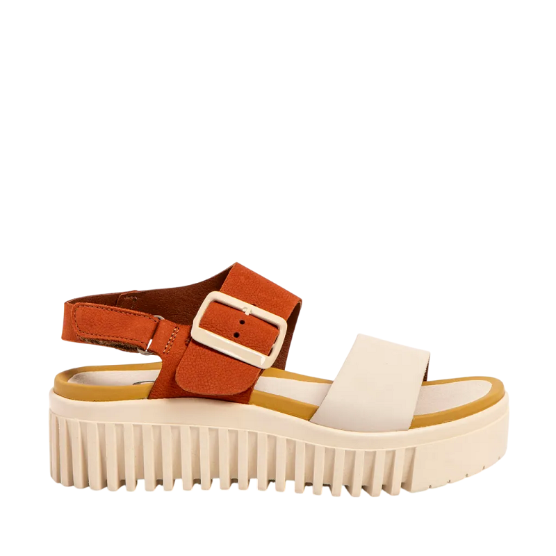 ART1578BRIGHTONORANGRE-CREAM1.png