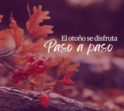 BANNER1.png