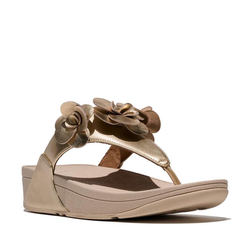 FITFLOPFLOWERA4N-675_2.jpg