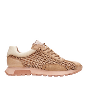 Hispanitas Oregon rhv264741  -52988