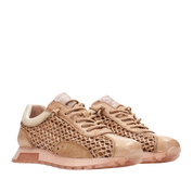 Hispanitas Oregon rhv264741  -52988