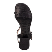 Hispanitas Tulipan hv264836  -52966