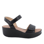 IGI&CO CAPRA TAMPONATA 1161600 NEGRO -52675