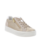 IGI&CO VIT.NEW VINTAGE 1144544 -52671