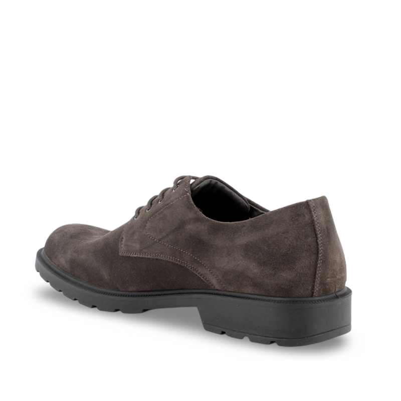 IGI&CO SCAMOSC.SPECIAL 8602333 MARRÓN -51788