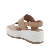 IGI&CO FIO.BO.OME/NAPP 1164511 -52676