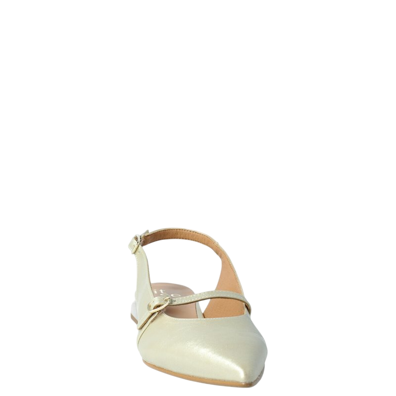 Itse 2452 clever PLATINO -50519