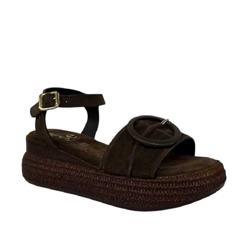 Itse 6488 6488 MARRÓN -53275