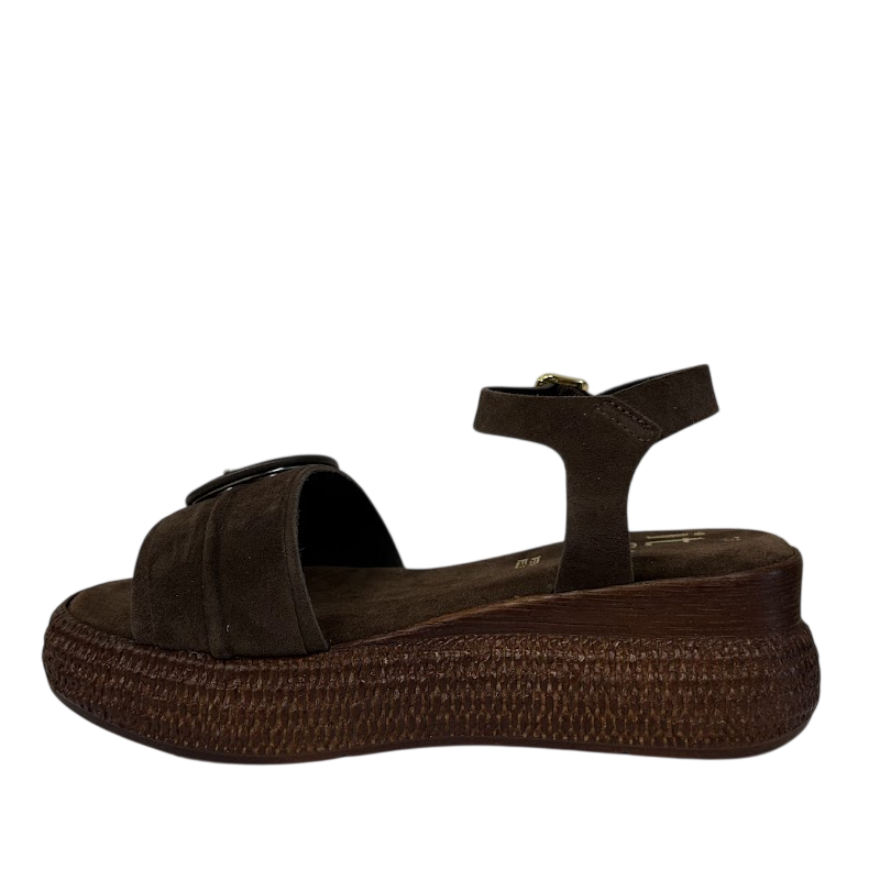 Itse 6488 6488 MARRÓN -53275