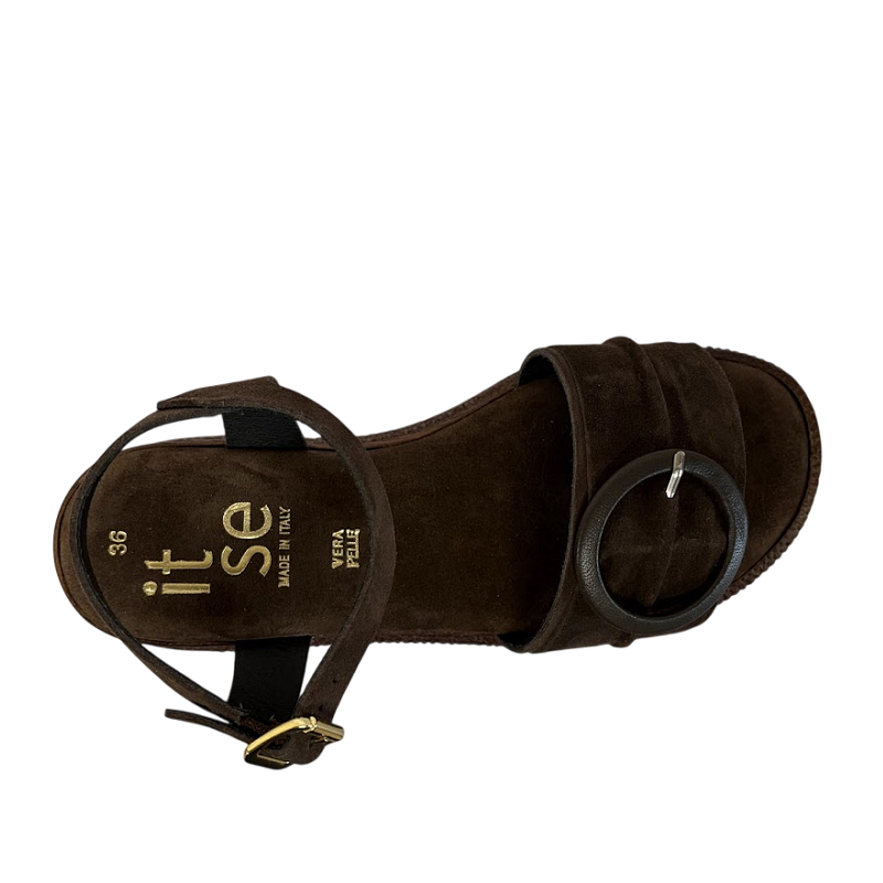 Itse 6488 6488 MARRÓN -53275