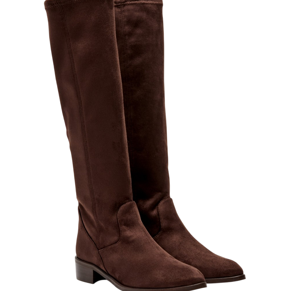 MIRALLES29202-TESTA-2.png