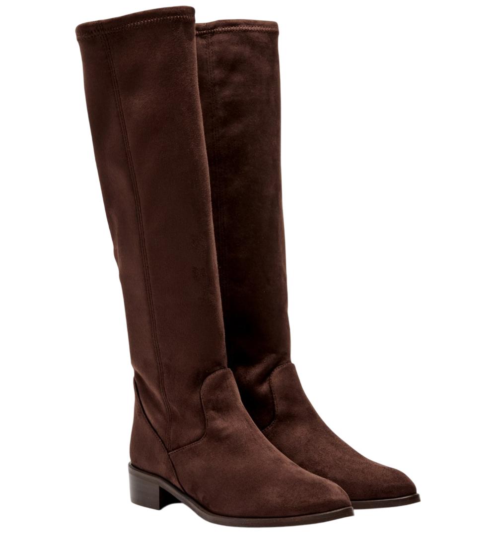P.MIRALLES ANTE STRECH 29202-TESTA-51773