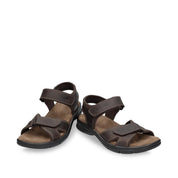 Panama Jack Sanders C1 Brown  -53704