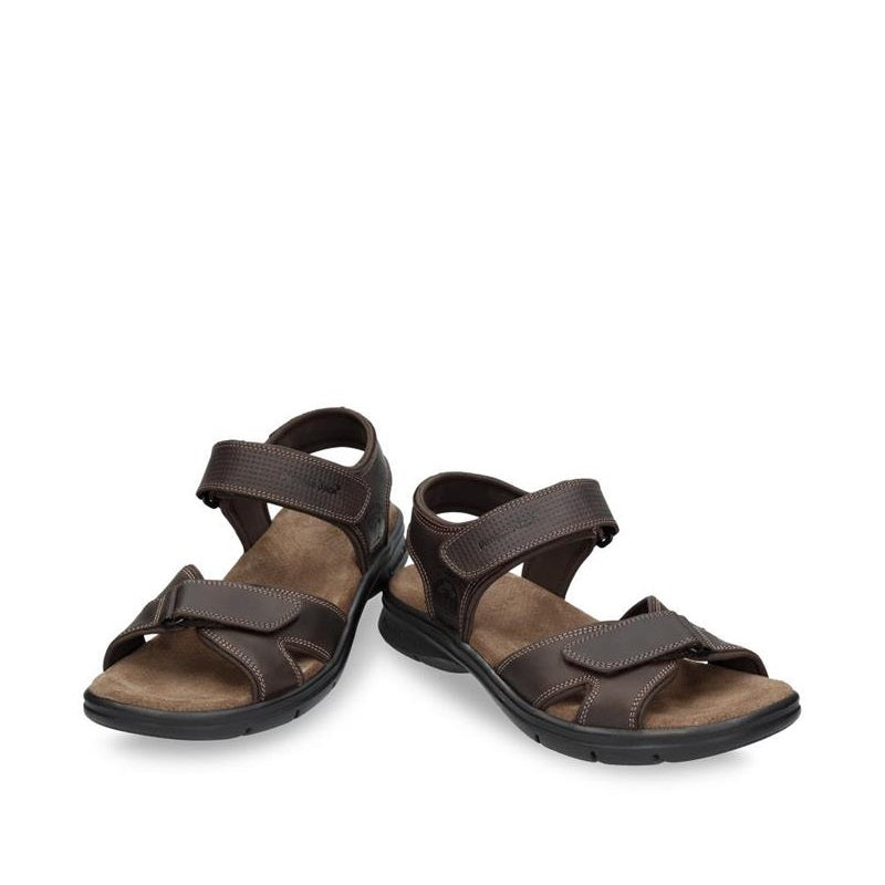 Panama Jack Sanders C1 Brown  -53704