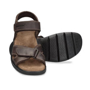 Panama Jack Sanders C1 Brown  -53704