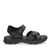 Panama Jack Sanders C18 Black   -53705