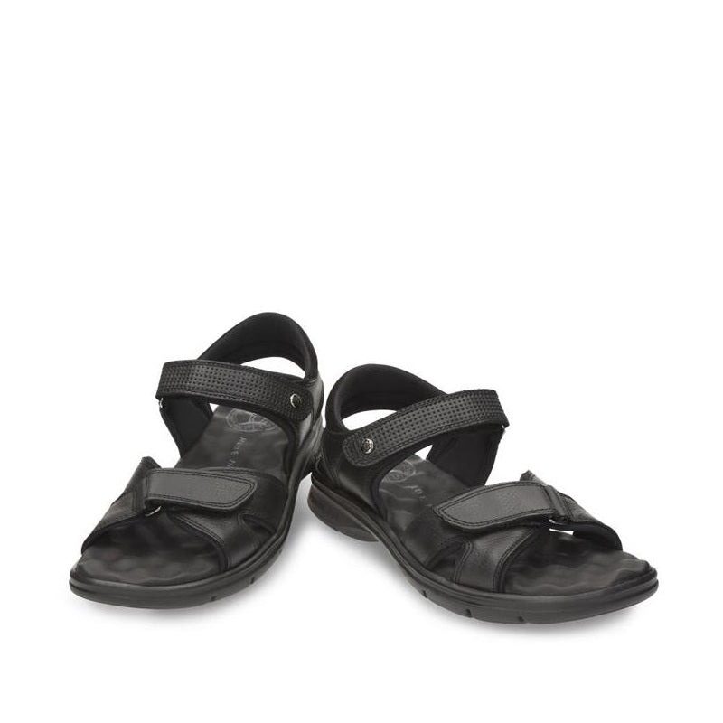 Panama Jack Sanders C18 Black   -53705