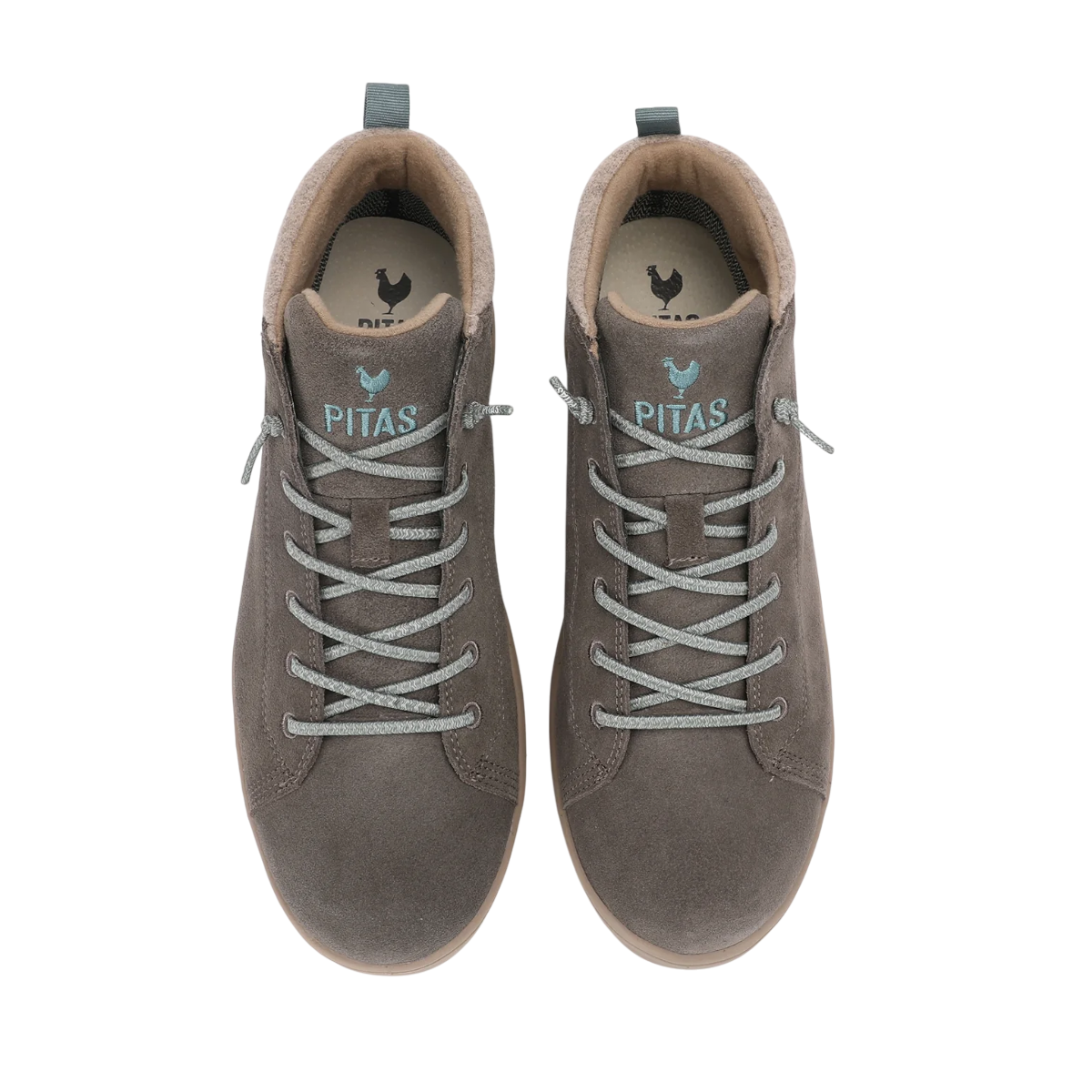 PITAS AUSTIN CAT-ASIN TORTOLA-GRIS -51995
