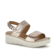 Stonefly Aqua III223652-189  -53660