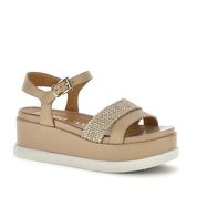Stonefly Arianna 4 223737-ELN   -53666