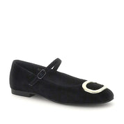 Stonefly sally 222990 -52481