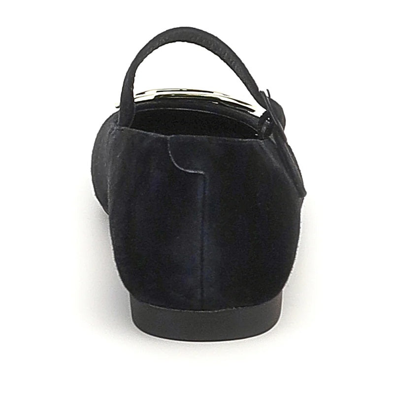 Stonefly sally 222990 -52481