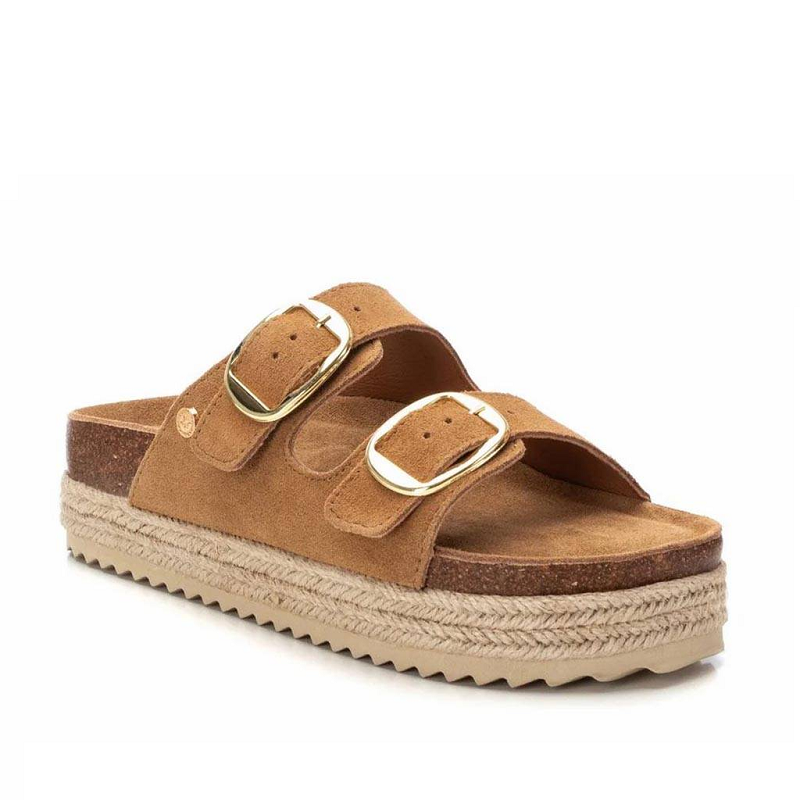 XTI143635CAMEL-2.png