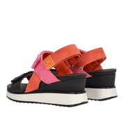 Xti 143848 Multicolor -50915